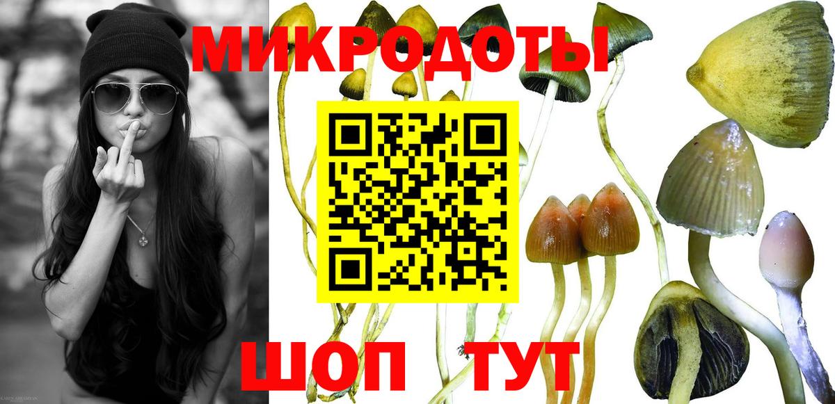 Корсаков  купить наркотик  Вход с VPN  Псилоцибиновые грибы Psilocybe 