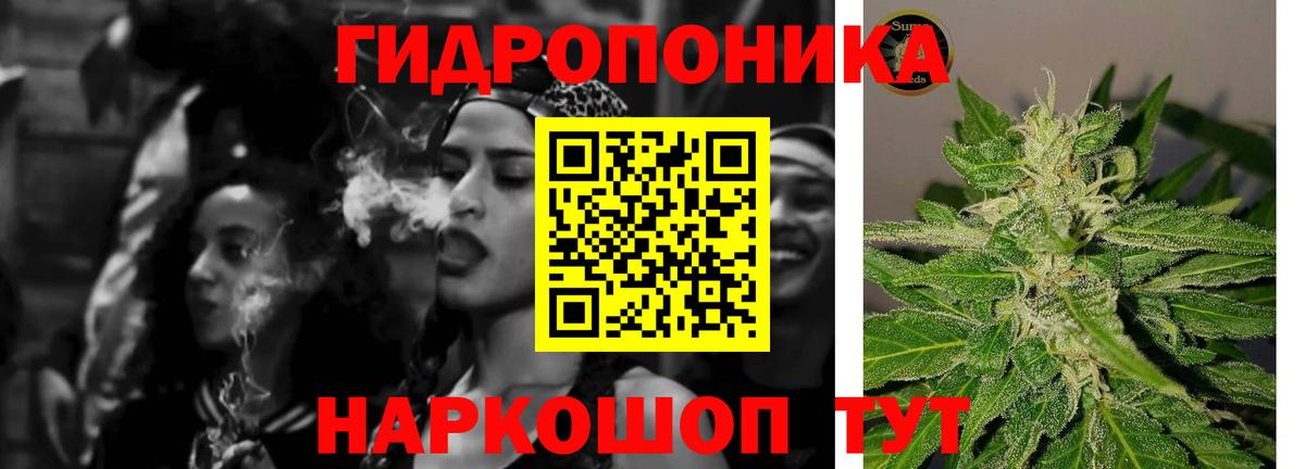 МАРИХУАНА MAZAR  Бошки марихуана сатива  МАРИХУАНА планчик  Корсаков  Вход с VPN 